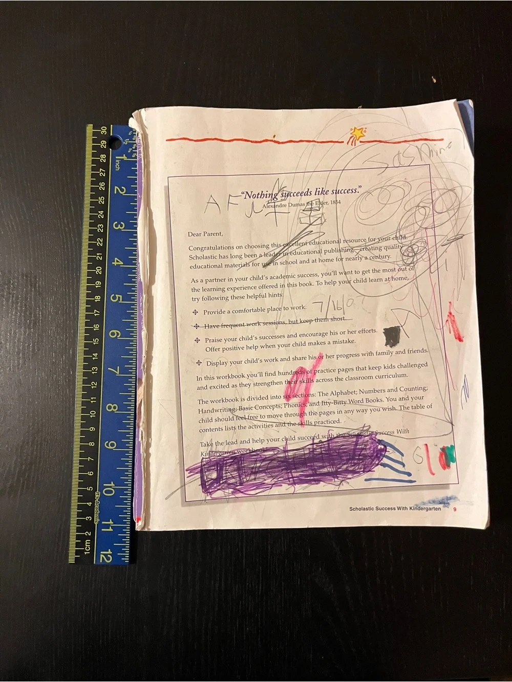 Scholastic Success With Kindergarten Workbook Purple Paperback 📚
